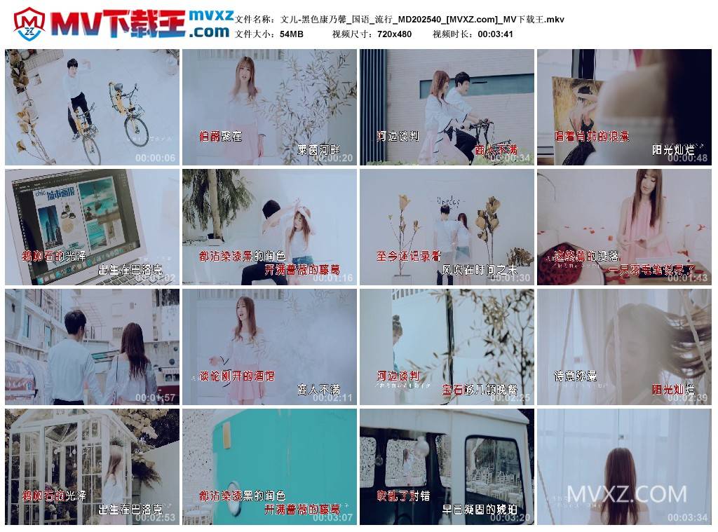 文儿-黑色康乃馨_国语_流行_MD202540